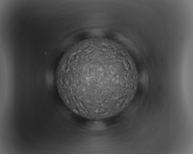 X0000101680715200807101421