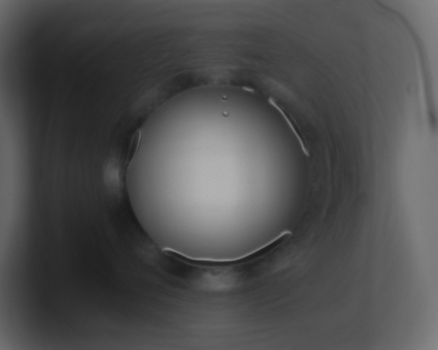 X0000101680720200807101421