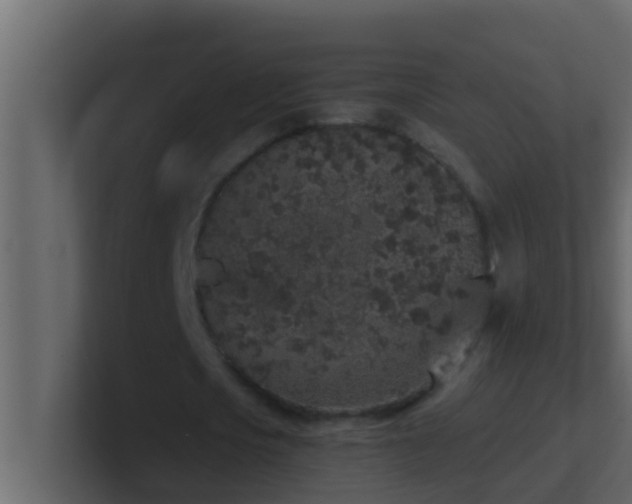 X0000101680721200807101421