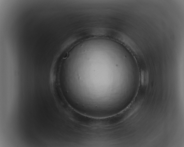 X0000101680723200807101421