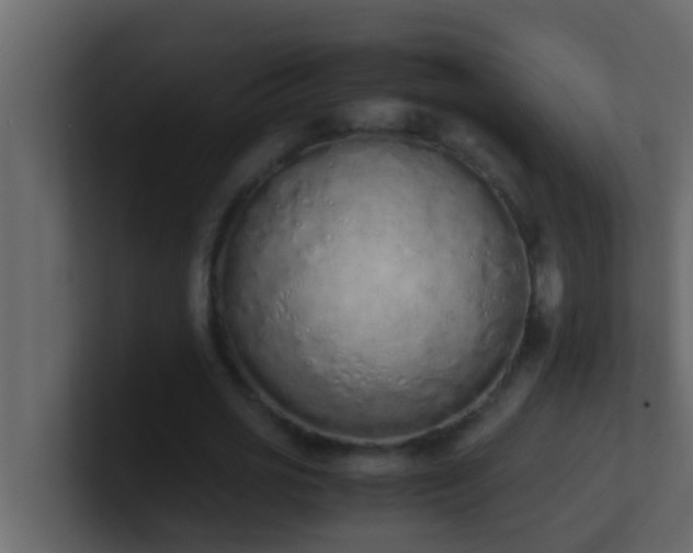 X0000101680725200807101421