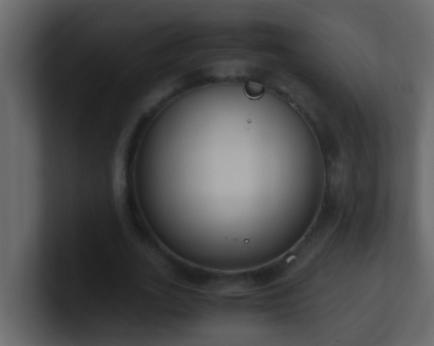 X0000101680727200807101421