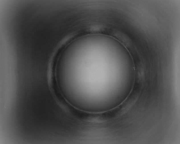 X0000101680728200807101421