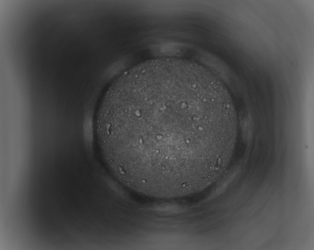 X0000101680729200807101421