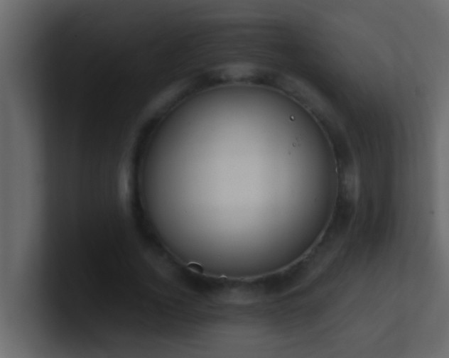 X0000101680732200807101421