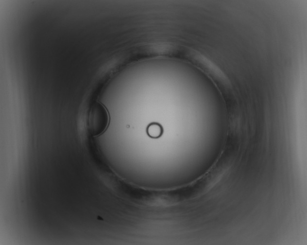 X0000101680736200807101421