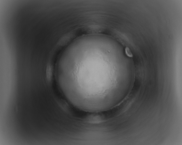 X0000101680742200807101421