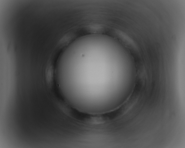 X0000101680744200807101421