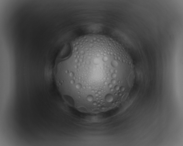 X0000101680745200807101421