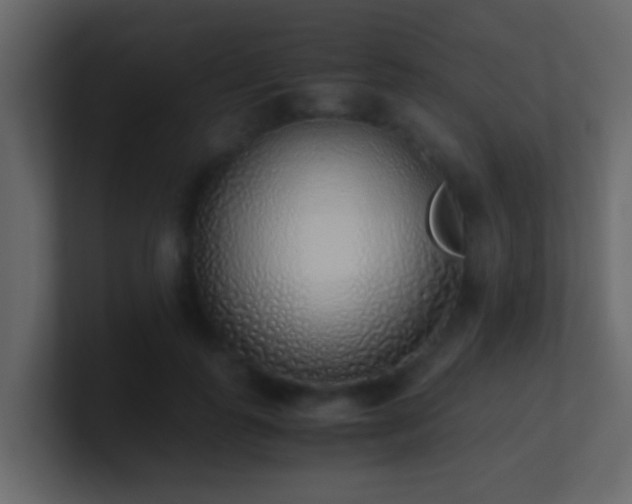 X0000101680747200807101421