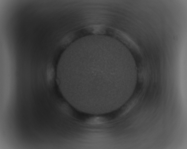 X0000101680748200807101421