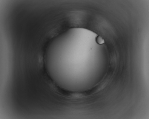 X0000101680749200807101421