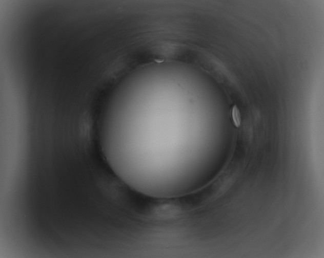 X0000101680750200807101421