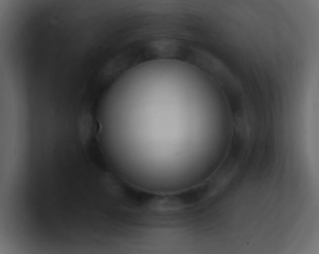 X0000101680752200807101421