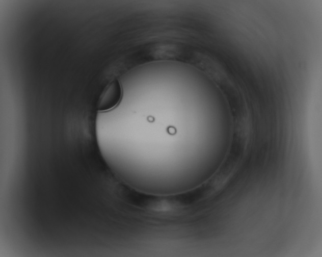 X0000101680755200807101421