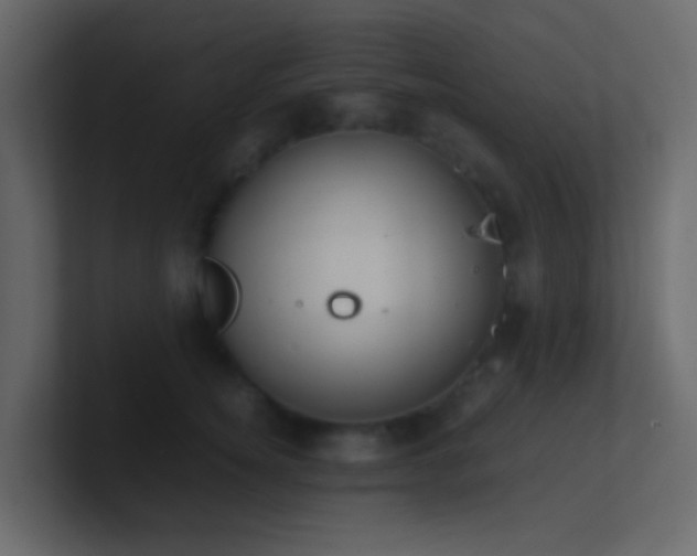 X0000101680756200807101421