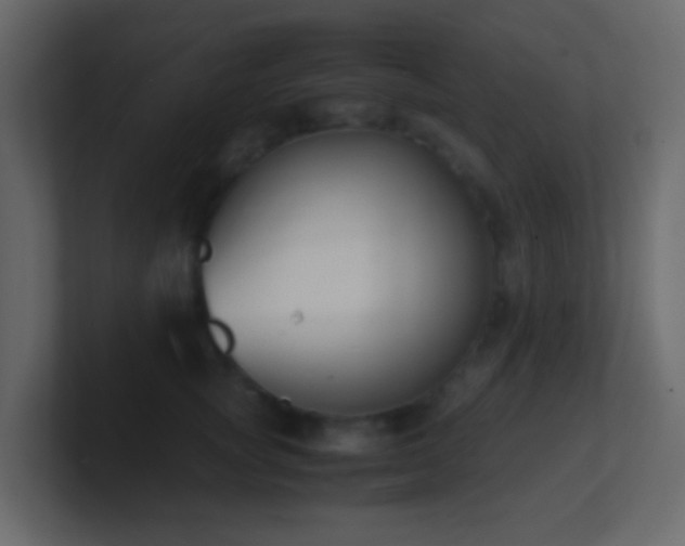 X0000101680757200807101421