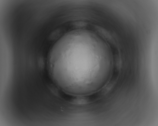 X0000101680758200807101421