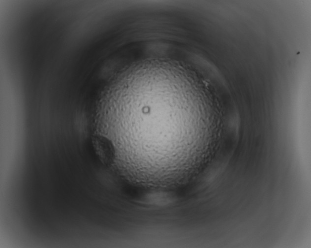 X0000101680759200807101421