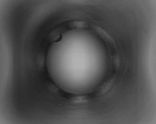 X0000101680760200807101421