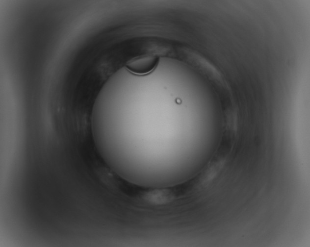 X0000101680761200807101421