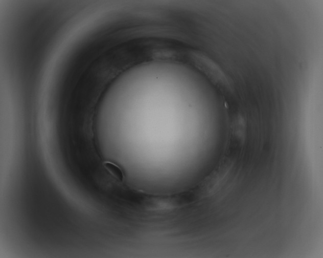 X0000101680763200807101421