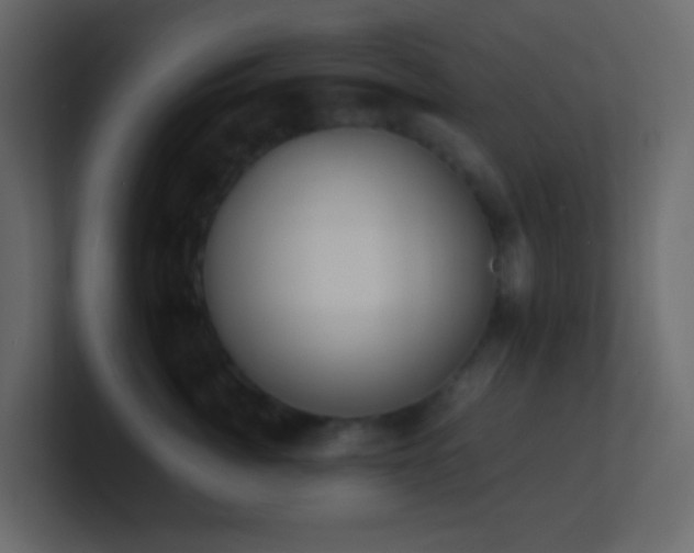 X0000101680764200807101421