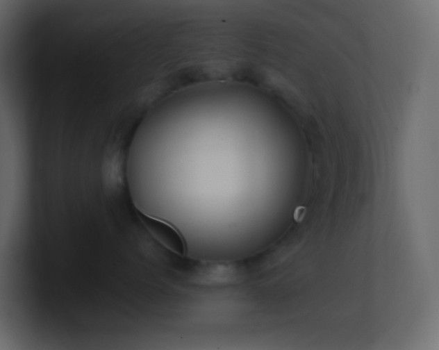 X0000101680768200807101421