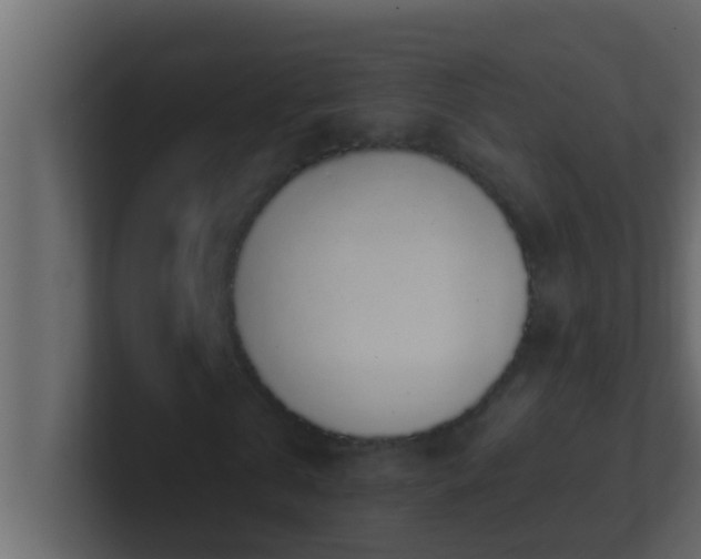 X0000101680769200807101421