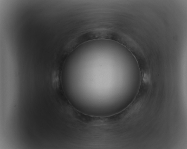 X0000101680771200807101421