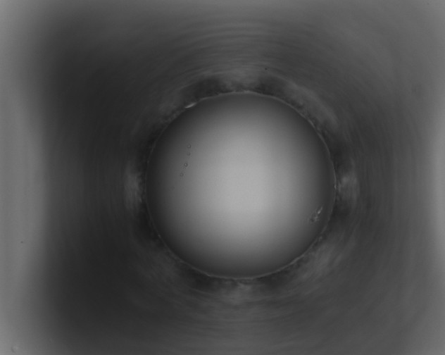 X0000101680772200807101421