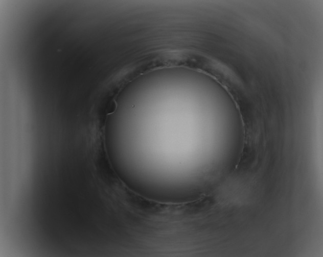 X0000101680773200807101421