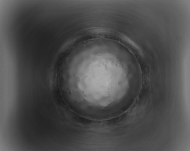 X0000101680775200807101421