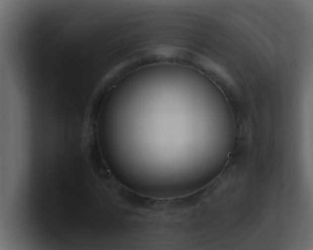 X0000101680776200807101421