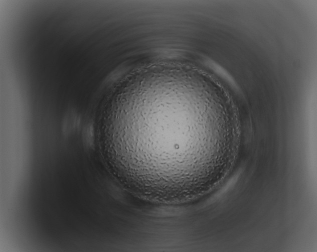 X0000101680777200807101421