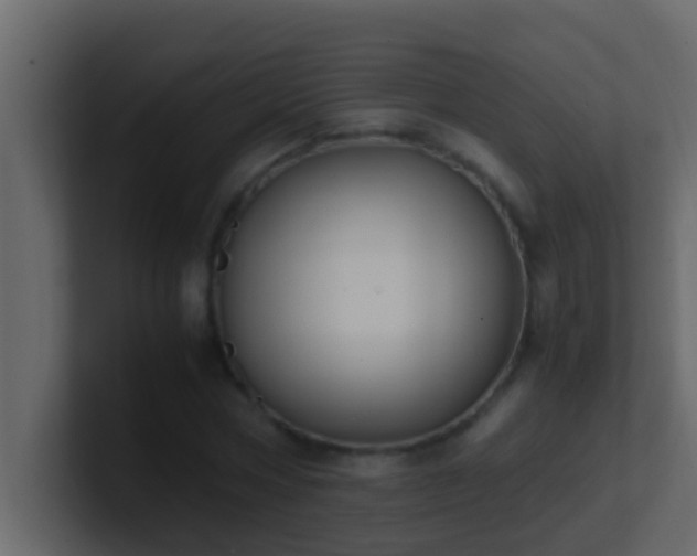 X0000101680778200807101421