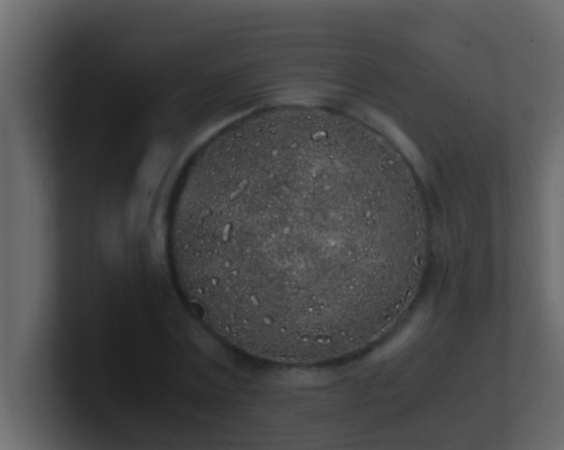 X0000101680779200807101420