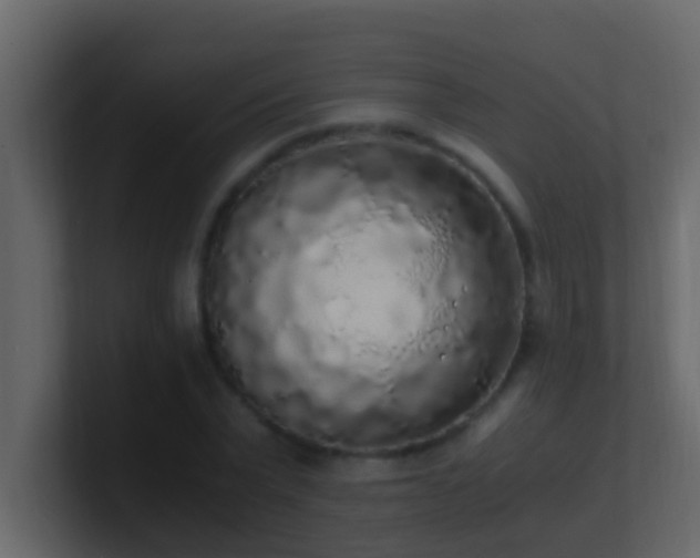 X0000101680783200807101420