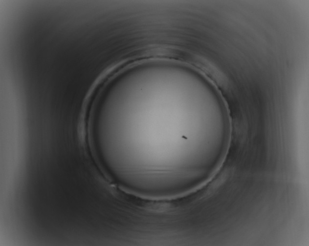 X0000101680784200807101420