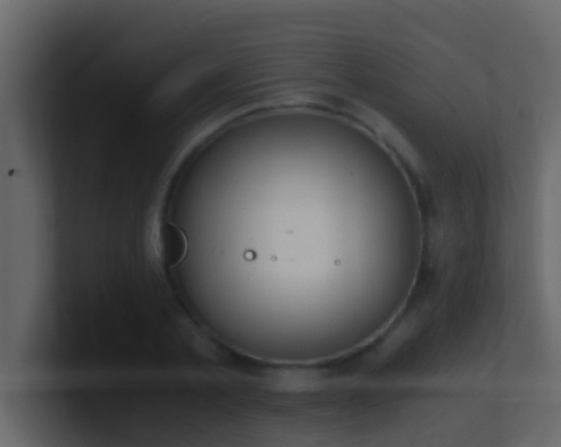 X0000101680789200807101420