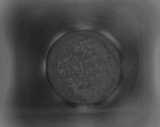 X0000101680790200807101420