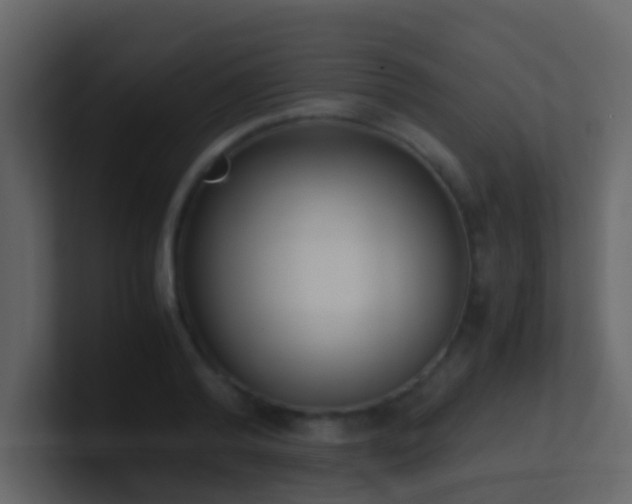 X0000101680792200807101420