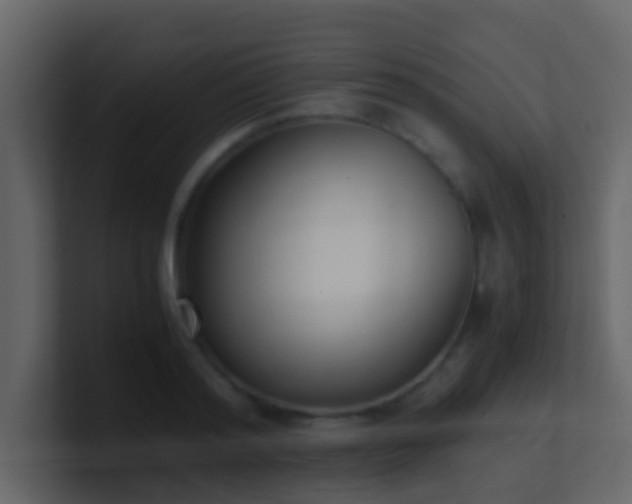 X0000101680796200807101420