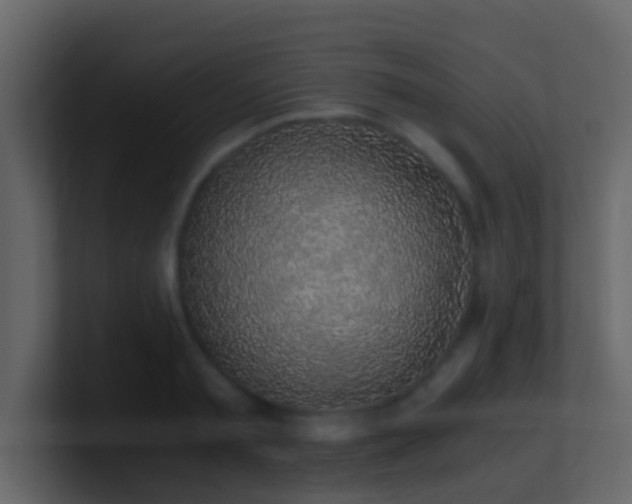 X0000101680797200807101420