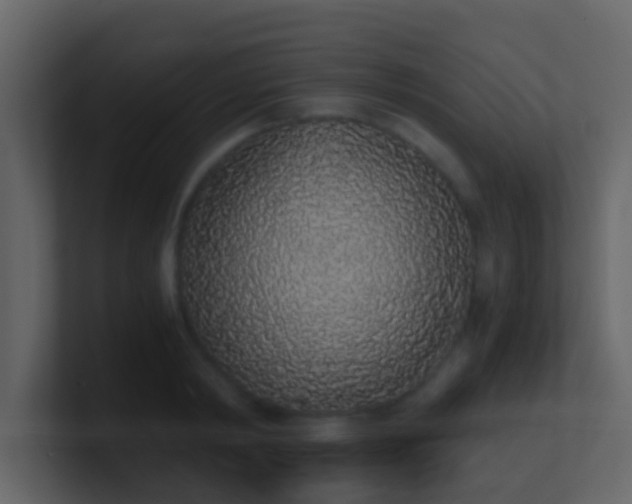 X0000101680798200807101420