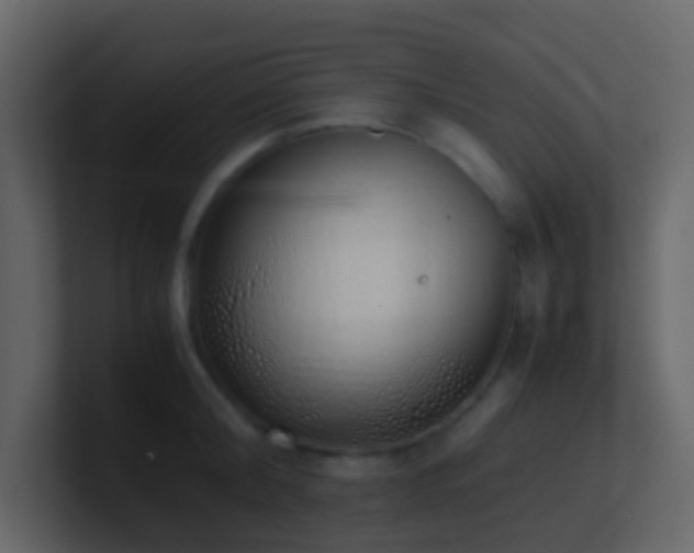 X0000101680804200807101420