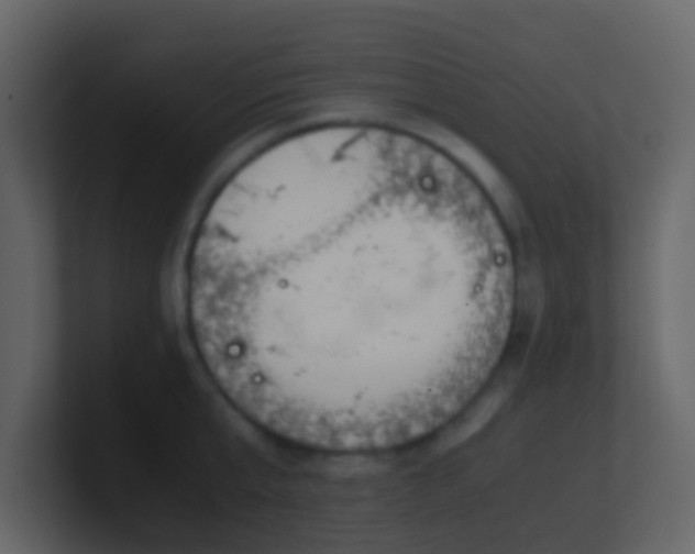 X0000101680807200807101420