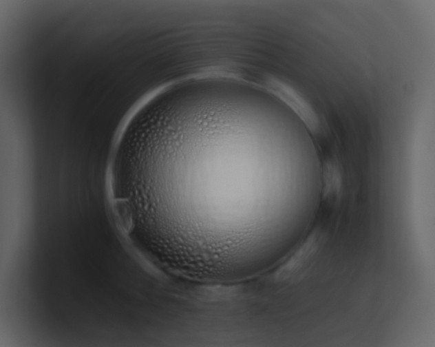 X0000101680812200807101420