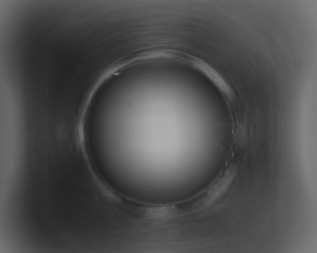 X0000101680813200807101420