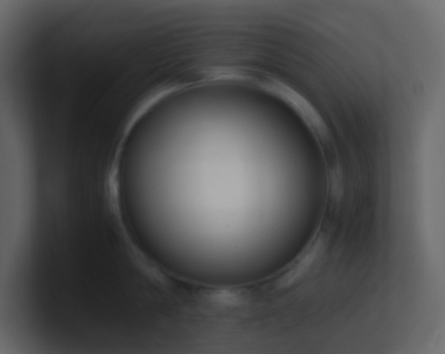 X0000101680814200807101420